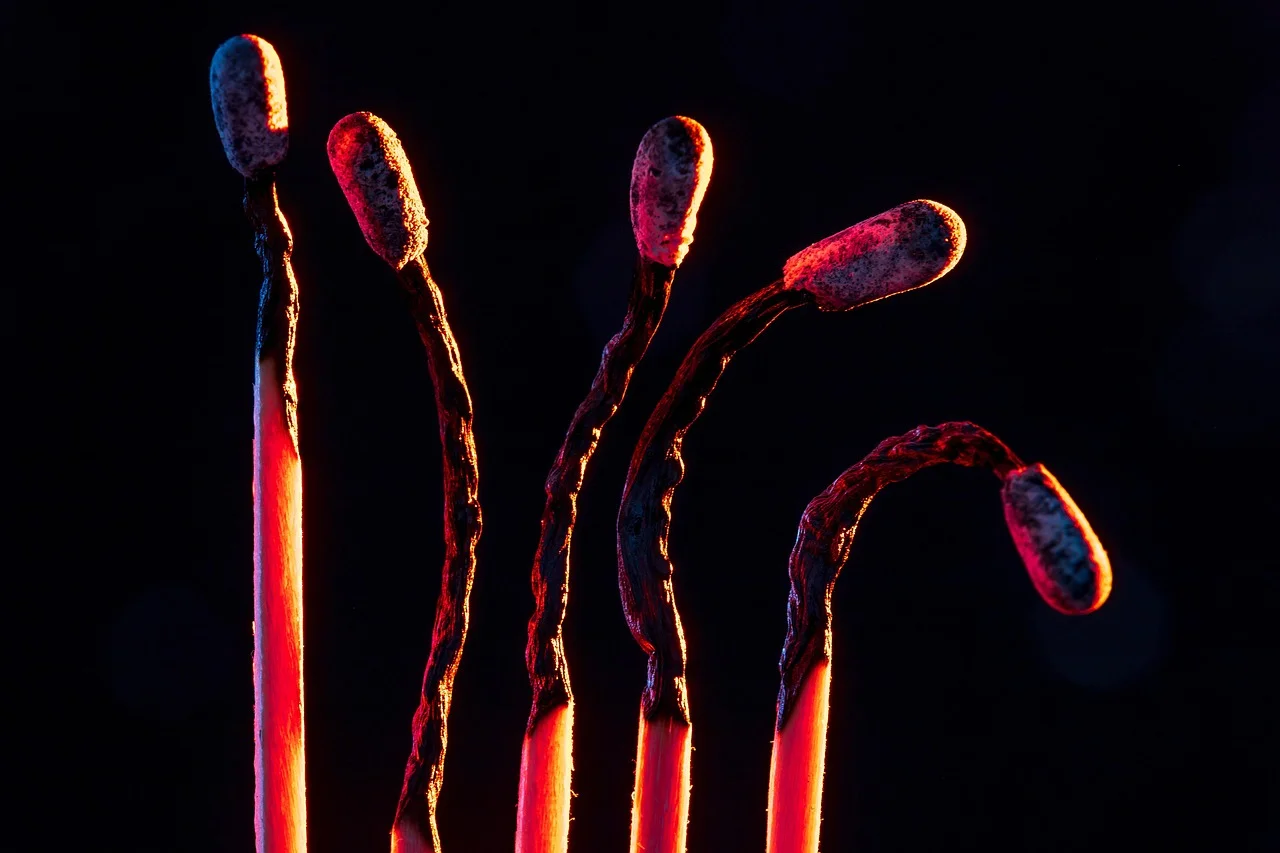 No processo, o palito queima porque sua cabeça, que é feita de substâncias que fazem a faísca do atrito com a caixinha virar chama. O fogo, então, consome a madeira do palito por uns 10 segundos. 