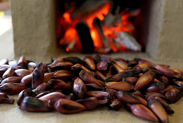 O pinhão possui ômega 6 e 9, que reduzem o colesterol ruim do organismo. Um fator considerado de risco para as doenças cardiovasculares.