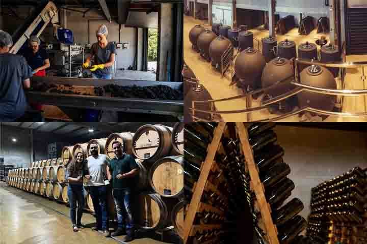 Em uma cidade com apenas 3.500 habitantes, a Casacorba, em Nova Roma do Sul (RS), une vinhedos, olivais e canaviais em um complexo enoturístico completo. A visita inclui degustação de seis produtos, tour pela vinícola, destilaria e lagar de azeite.