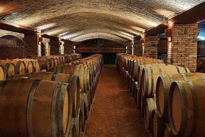 A degustação contempla vários rótulos e está incluída na experiência completa. A vinícola é uma das mais emblemáticas de Santa Catarina e oferece um tour sofisticado e cultural.