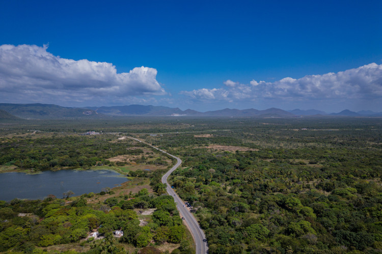 Dia 17 de novembro é feriado em algumas de cidades ao redor do Brasil, conforme calendário de folgas divulgado pela Febraban, saiba quais