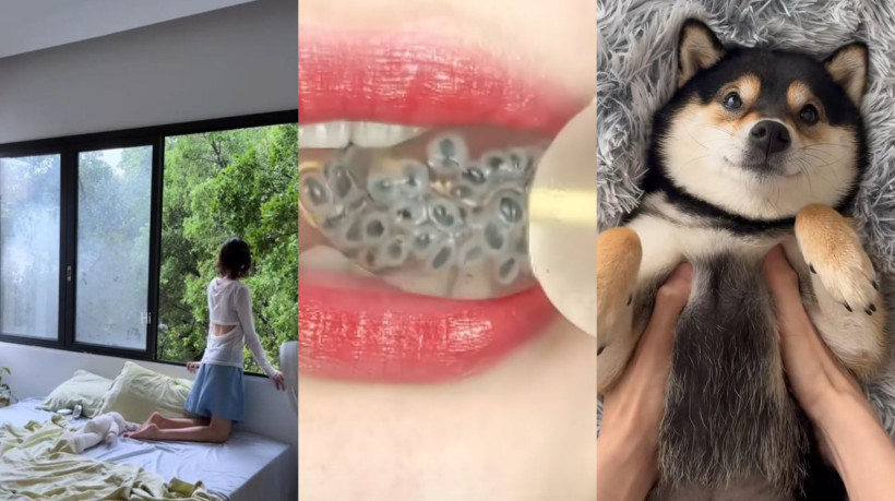 Os sons reproduzidos nos vídeos de ASMR despertam a sensação de acolhimento em quem os assiste.