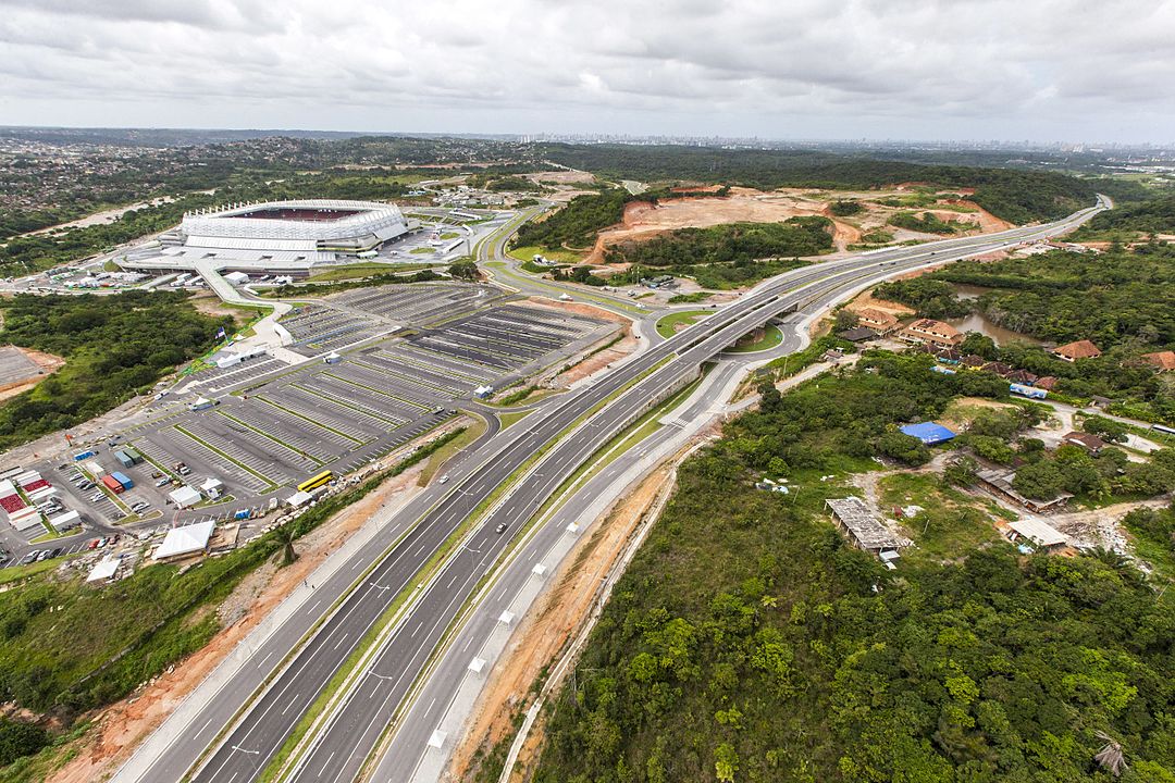 O município de São Lourenço da Mata, em Pernambuco, é considerado a capital nacional do pau-brasil.