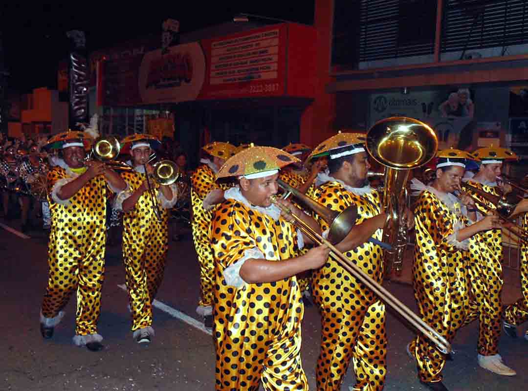 Durante o início, o frevo também sofreu influências do maxixe. Ficou conhecido na indústria fonográfica brasileira como marcha-nortista e marcha-pernambucana. Apenas na era de ouro do rádio passou a ter a designação de seus subgêneros, onde sua vertente cantada passou a ser denominada frevo-canção.