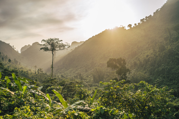 Cidade mítica Akakor estaria escondida no meio da Floresta Amazônica.