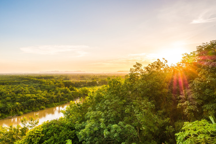 Akakor: cidade perdida na Amazônia, entre lenda, nazistas e teorias da conspiração