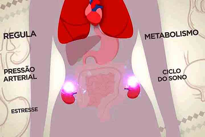 Passados dois anos da cirurgia, Sabrina voltou a sofrer com os sintomas e exames mostraram que o tumor não só seguiu em seu corpo como aumentou de tal forma que não poderia mais ser retirado por meio cirúrgico.