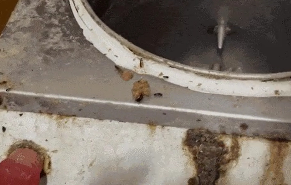 Dias antes, imagens de uma fábrica clandestina interditada no Rio de Janeiro causaram perplexidade tamanha a sujeira e a infestação de baratas. 