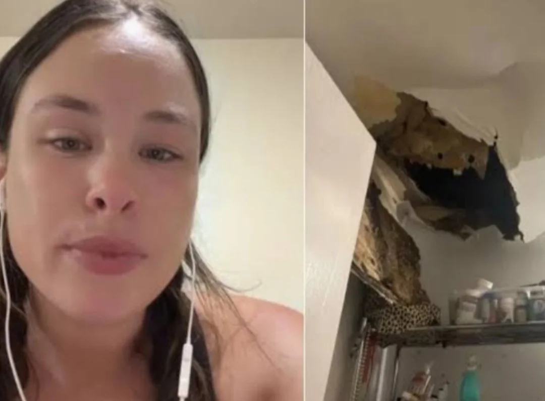 A moradora de um apartamento do bairro de Upper East Side, na cidade americana de Nova York, postou vídeo recentemente no TikTok contando que 'milhares' de baratas caíram em seu banheiro quando parte do teto desabou.