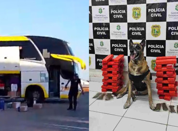 Mulher foi presa com 24 quilos de maconha dentro de ônibus em Tauá 