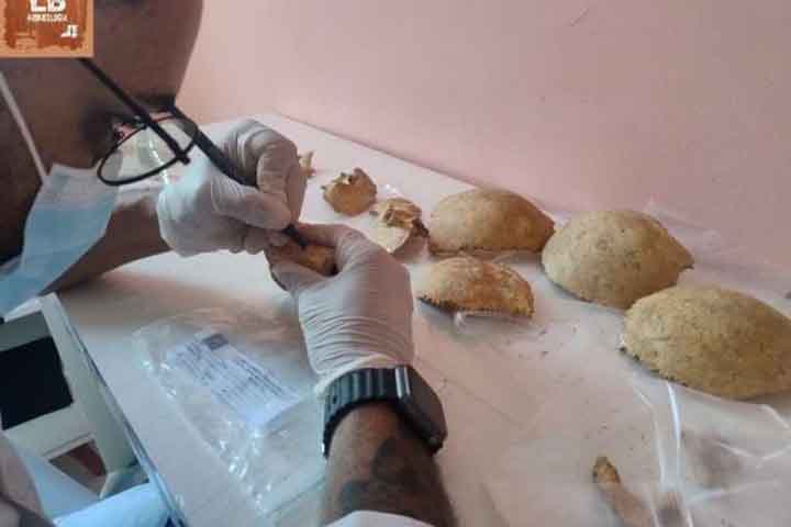 Além disso, também apareceram ossos de animal, louças, cerâmicas, vidros e metais. 
