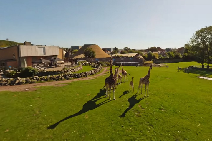 Ele ocupa cerca de 8 hectares e abriga mais de 1.500 animais de cerca de 125 espécies diferentes.