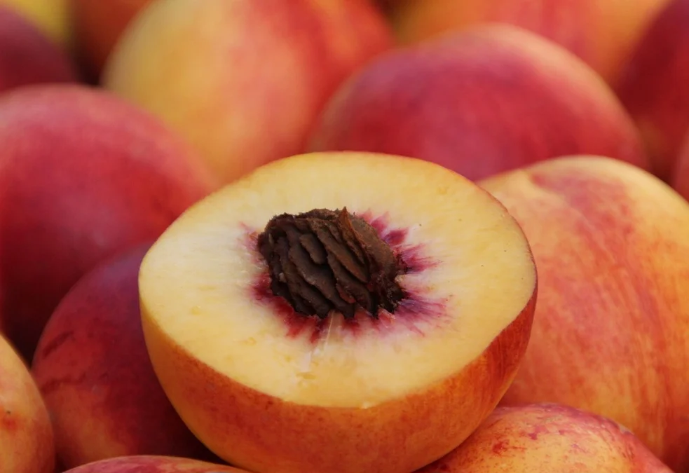 É rico em antioxidantes e vitamina C, que ajudam a combater os radicais livres e a proteger a pele dos danos causados pela exposição solar. Entre eles, estão flavonoides e antocianinas, que ajudam a prevenir o envelhecimento precoce