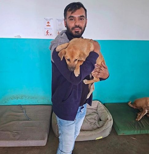 Após receber atendimento veterinário, alimentação e abrigo, Hope — como foi batizada — recuperou peso e energia.