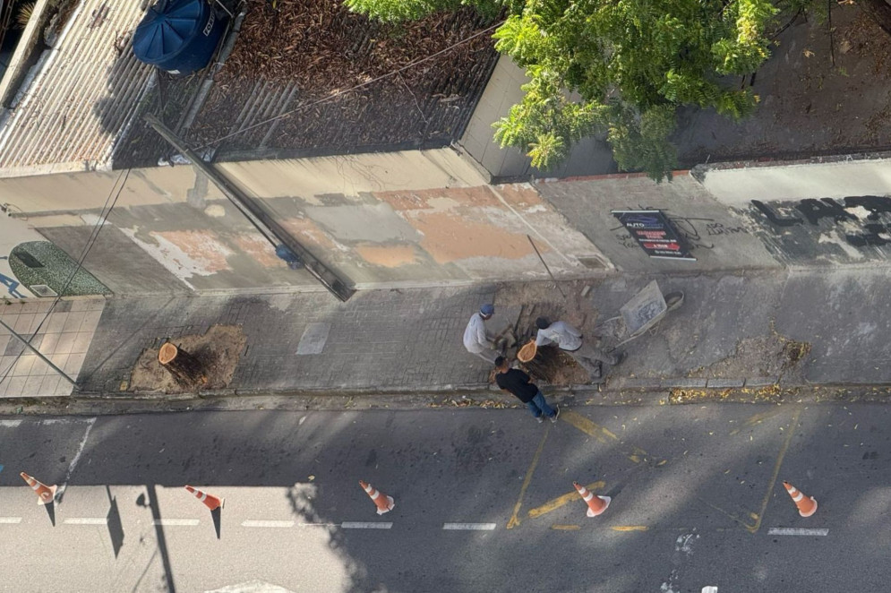 Moradores reclamam de corte de árvores na rua Pereira Valente, no bairro Meireles. Situação teria iniciado nessa sexta-feira, 15(Foto: Reprodução/ leitor via WhatsApp O POVO)