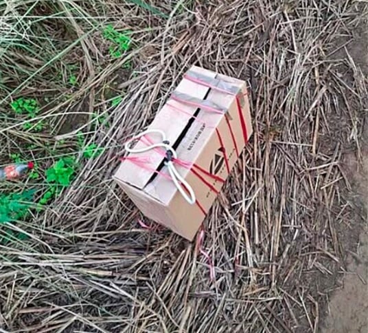 Joanito teve uma surpresa quando se deparou com uma caixa abandonada em um local próximo do abrigo onde trabalha.