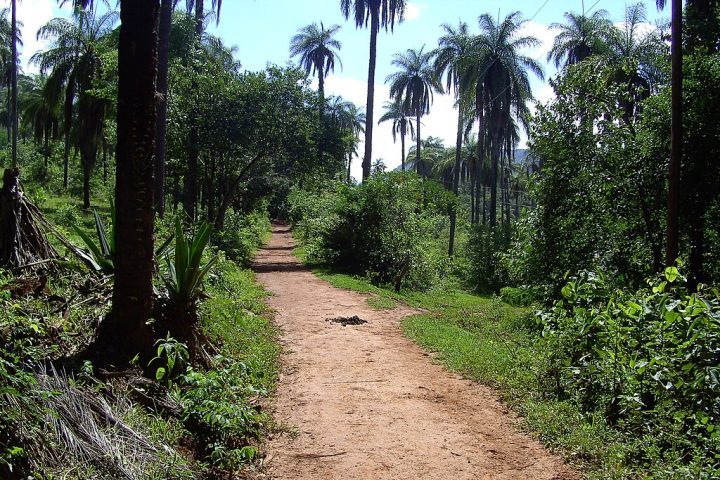 O acesso por estrada de terra e trilhas sem sinalização dificultaram a chegada das equipes.