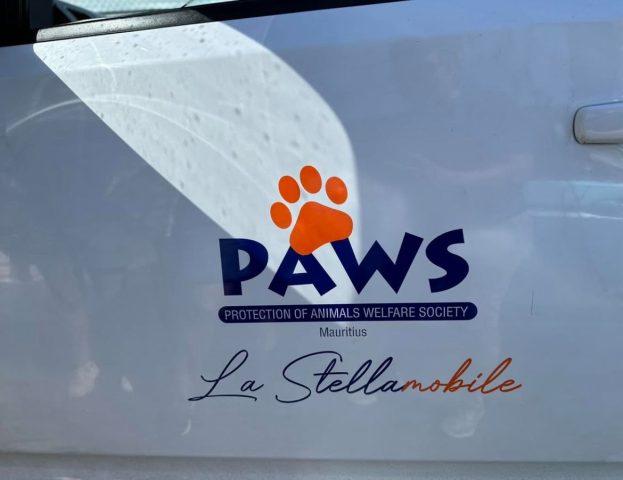 Apesar de o abrigo estar no limite da capacidade, o funcionário a levou para receber cuidados.