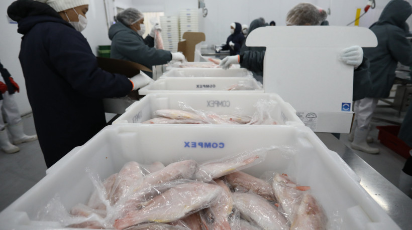 Linha de produção de pescados para exportação da Compex