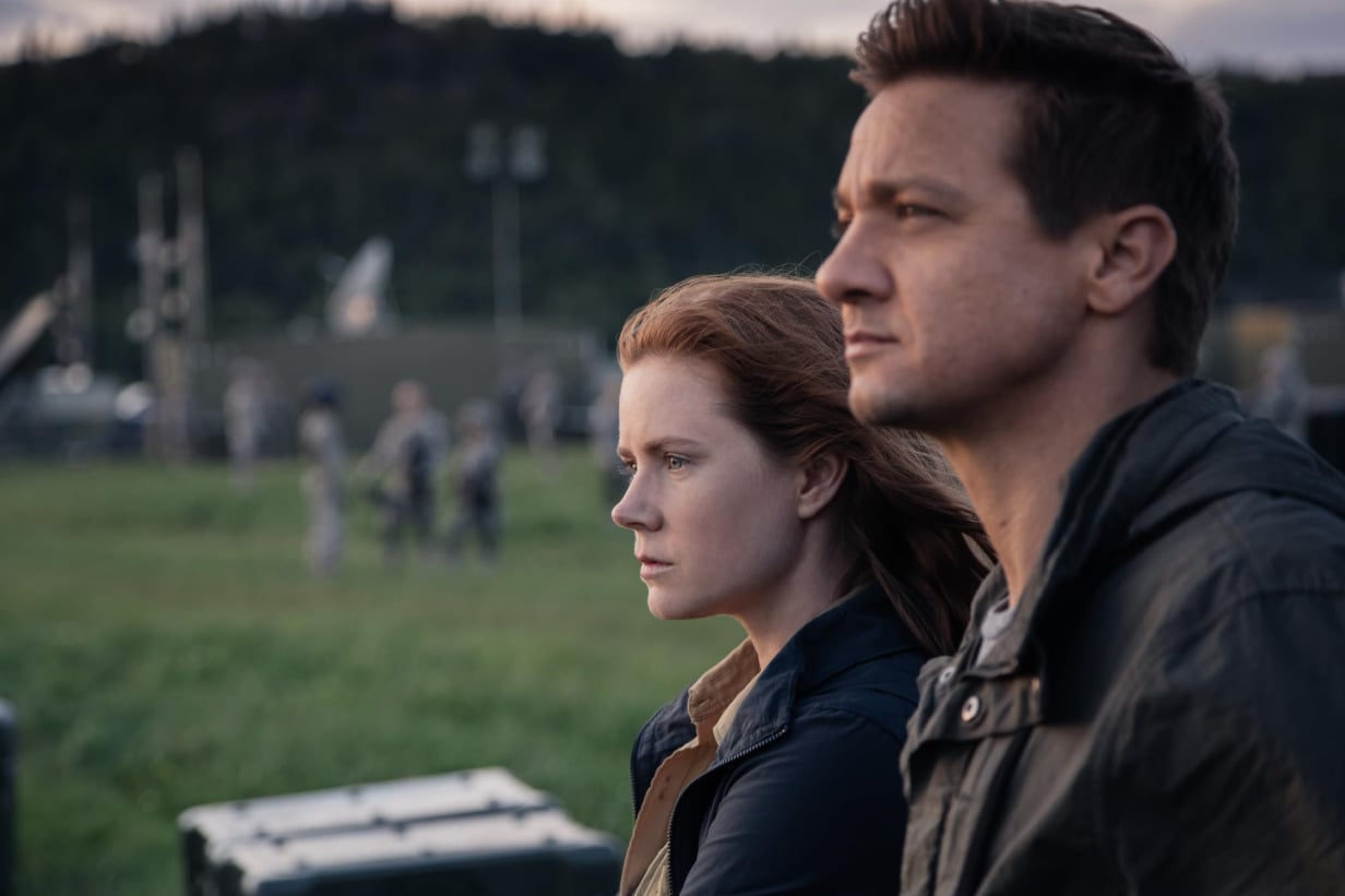 A narrativa coloca a linguista Louise Banks no centro de uma missão crucial para estabelecer comunicação com visitantes extraterrestres. A trama explora temas profundos como linguagem, tempo e a natureza da humanidade, abordando se os alienígenas representam uma ameaça ou uma oportunidade para a Terra.