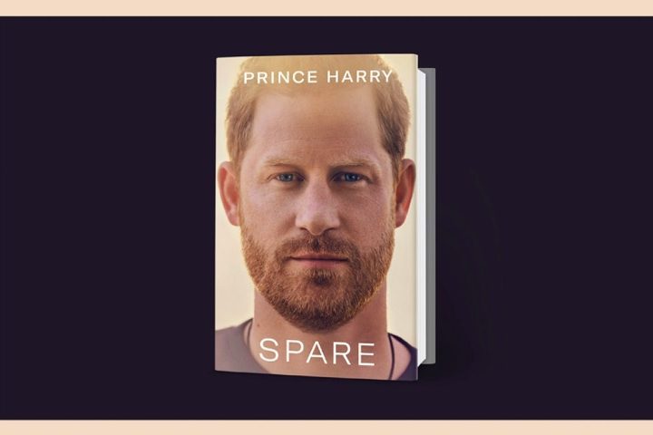 Em 2023, Harry publicou o livro de memórias Spare (lançado no Brasil como O Que Sobra), no qual expôs aspectos íntimos de sua vida e conflitos familiares.