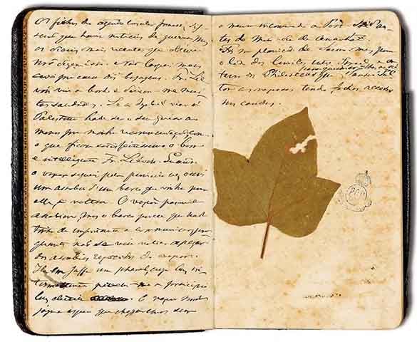 Os manuscritos, considerados Patrimônio da Humanidade pela Unesco, devem ficar prontos em novembro de 2025.