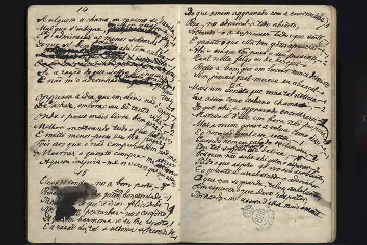 Nos relatos, também aparecem detalhes de sua expedição pelo litoral nordestino entre 1859 e 1860, com suas impressões sobre indígenas locais e paisagens nacionais. 