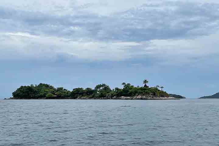 Há ainda a possibilidade de fazer passeios de barco pelas ilhas próximas, como as Ilhas Comprida - em destaque - e Algodão, muito procuradas para mergulho livre devido à transparência da água e à diversidade da vida marinha.