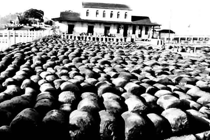 Entre 1879 e 1912, a Amazônia viveu o Ciclo da Borracha, um período de grande riqueza gerado pela exploração do látex. Cidades como Manaus e Belém prosperaram como centros econômicos.