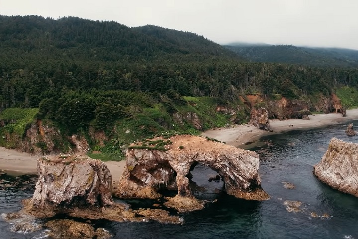 Apesar do clima severo, a península é um santuário de biodiversidade. Vastas florestas, vales de rios e a tundra alpina servem como habitats para uma variedade de vida selvagem. 