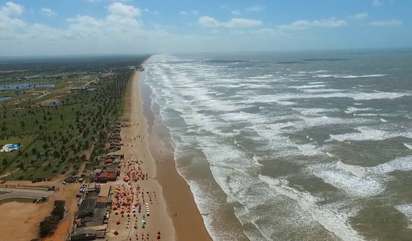 A aparição de um raro tubarão megaboca na praia de Barra dos Coqueiros, em Sergipe, atraiu a atenção de pesquisadores.