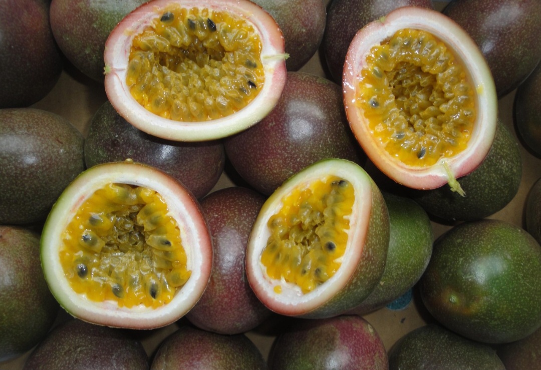 As primeiras referências escritas ao maracujá no Brasil foram feitas no século XVI, em obras como o Tratado Descritivo do país. O texto, de 1587, foi escrito por Gabriel Soares de Sousa, onde coloca o fruto como uma planta com múltiplas utilidades.