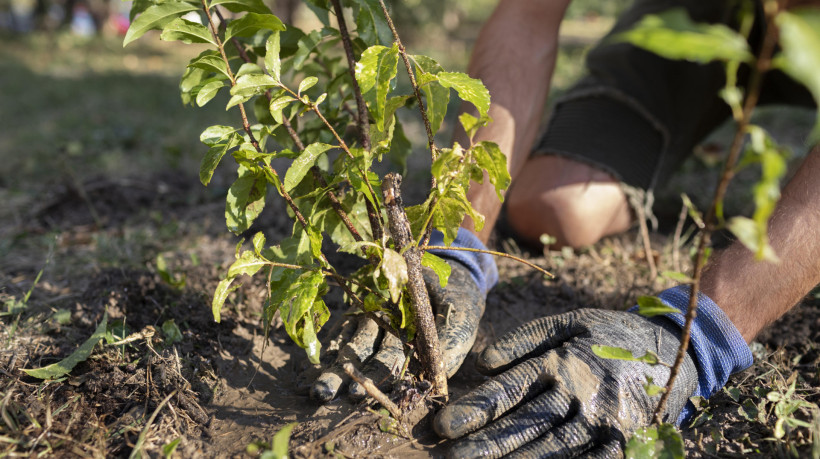 Alunos e professores poderão criar projetos de recuperação de áreas verdes e reciclagem em suas comunidades 