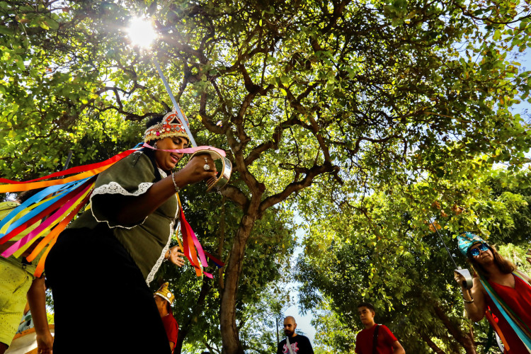 Reisado Brincantes Cordão do Caroá se apresentam na Edição especial do UFC de Portas Abertas