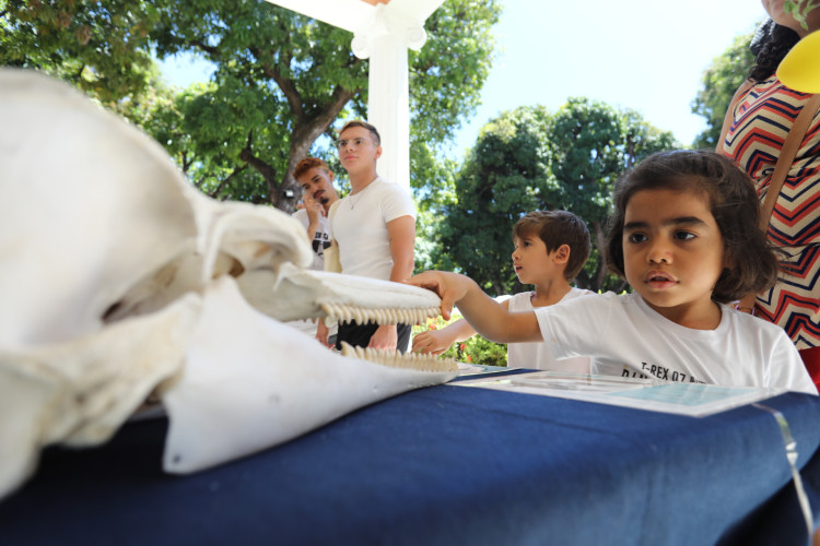  Edição especial do UFC de Portas Abertas nos jardins da reitoria