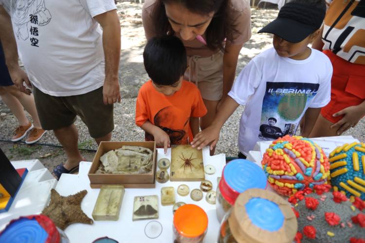  Edição especial do UFC de Portas Abertas nos jardins da reitoria