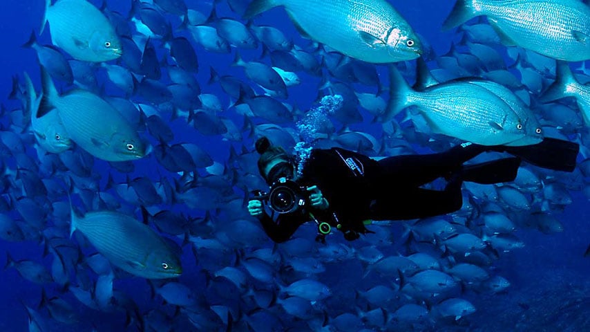 Mar de Esmeraldas em Fernando de Noronha (PE) - Mais de 230 espécies vivem nesse ponto de mergulho com visibilidade de 50m. São 10 tipos de tubarões e 15 corais. Ali ficam as carcaças dos navios Corveta Ipiranga (brasileiro, afundou em 1983) e Eleni Stathatos (grego, naufragou em 1930). 