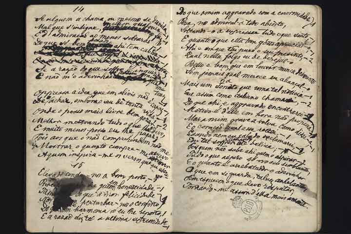 Nos relatos, também aparecem detalhes de sua expedição pelo litoral nordestino entre 1859 e 1860, com suas impressões sobre indígenas locais e paisagens nacionais. 