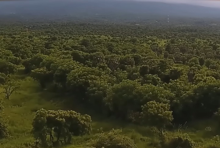 A exploração na região é desafiadora devido à densa floresta, mas avanços tecnológicos ainda podem revelar mais segredos desse passado vulcânico.