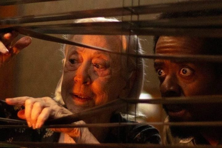 Entre os concorrentes deste ano, destacam-se produções que já receberam reconhecimento internacional. 