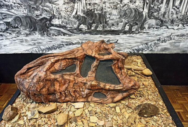 Museu da Terra e da Vida, Paraná: Foi aberto em 1998, com salas dedicadas à exposição de fósseis, rochas e minerais da região que hoje é a Bacia do Paraná. São mais de 10 mil peças.