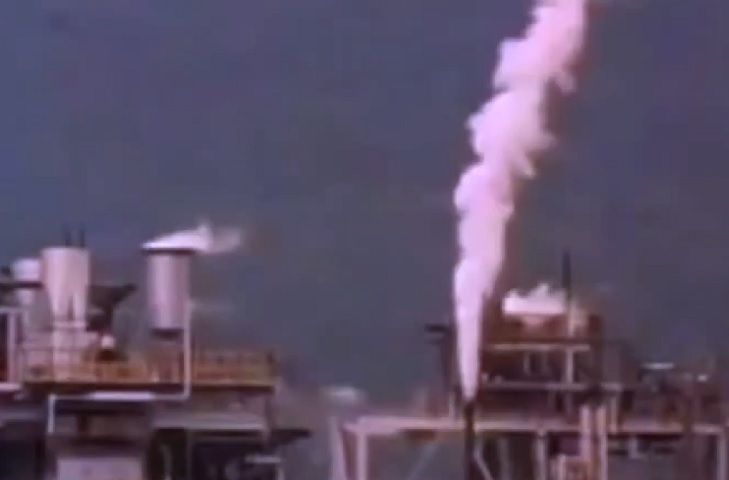 A situação era tão grave que foram registrados inúmeros casos de mortes por doenças respiratórias e anencefalia (condição em que o cérebro e o crânio não se desenvolvem).