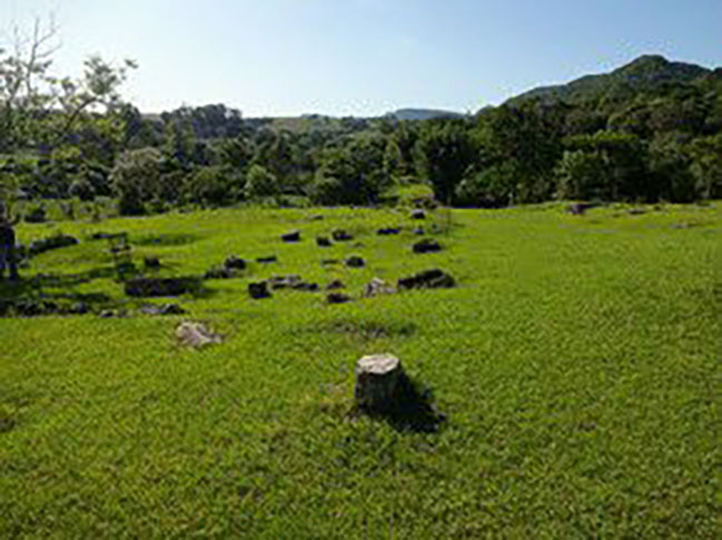 A Formação Santa Maria tem extensão de 250 km que engloba 21 municípios, desde Venâncio Aires até Mata, onde árvores viraram pedra (foto). As árvores petrificadas, fossilizadas, do Jardim Paleobotânico da cidade de Mata, são tombadas pelo Patrimônio Histórico do Rio Grande do Sul.