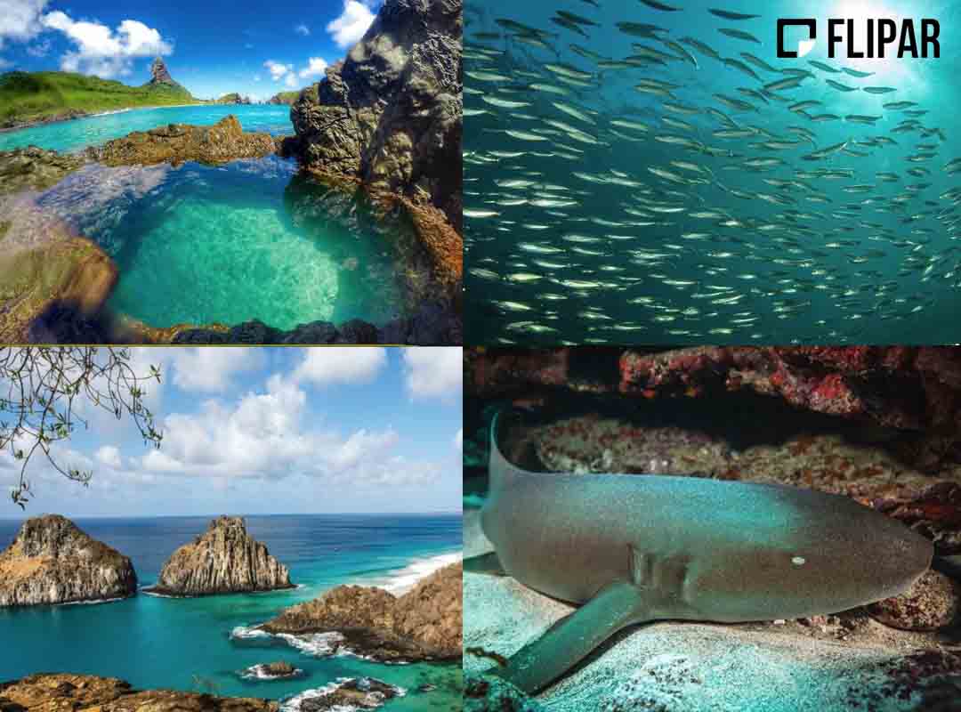 Parque Nacional Marinho de Fernando de Noronha, Pernambuco: Localizada no arquipélago de Fernando de Noronha, o parque engloba uma reserva ambiental criada em 1988. O lugar é famoso por suas paisagens deslumbrantes, praias de águas cristalinas, vida marinha abundante e ecossistemas marinhos preservados.