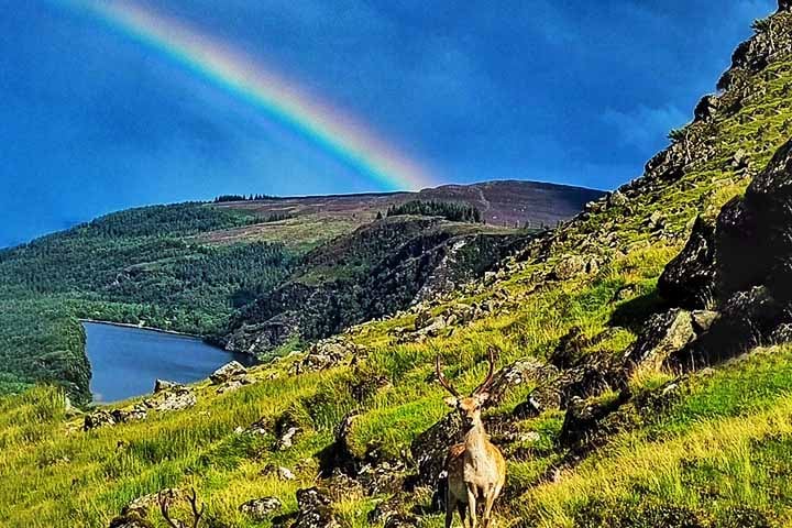 Montanhas de Wicklow - Cidade: Wicklow, Irlanda - O clima úmido e as chuvas constantes, intercaladas com momentos de sol, proporcionam condições ideais para a formação de arco-íris na paisagem montanhosa irlandesa.

