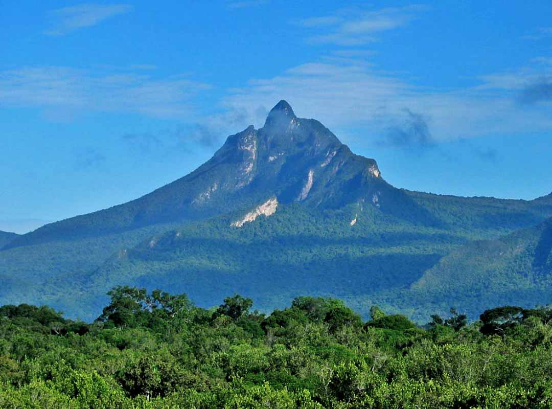 Parque Nacional do Pico da Neblina, Amazonas: Essa reserva natural fica localizada no extremo norte do Brasil, na fronteira com a Venezuela. Criado em 1979, o parque é um dos mais remotos e menos acessíveis do país, abrangendo uma área de aproximadamente 2,2 milhões de hectares. O grande destaque do parque é o Pico da Neblina, o ponto mais alto do Brasil, com cerca de 2.995 metros de altitude.