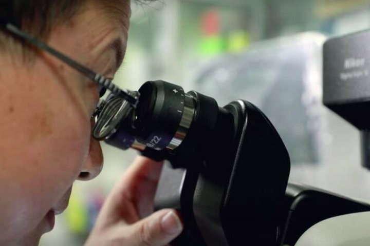 Os resultados detalhados foram publicados na revista científica Zoological Studies, evidenciando a importância do estudo conduzido por Qiu Jianwen e sua equipe.