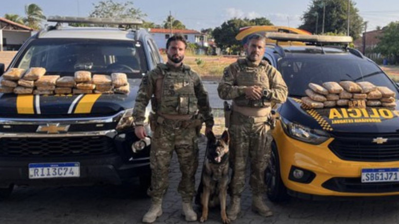 O primeiro trabalho do cão farejador K-9 Jordan deu conta de apreender 37 tabletes de skunk de um veículo em Paracuru nessa terça-feira, 26 