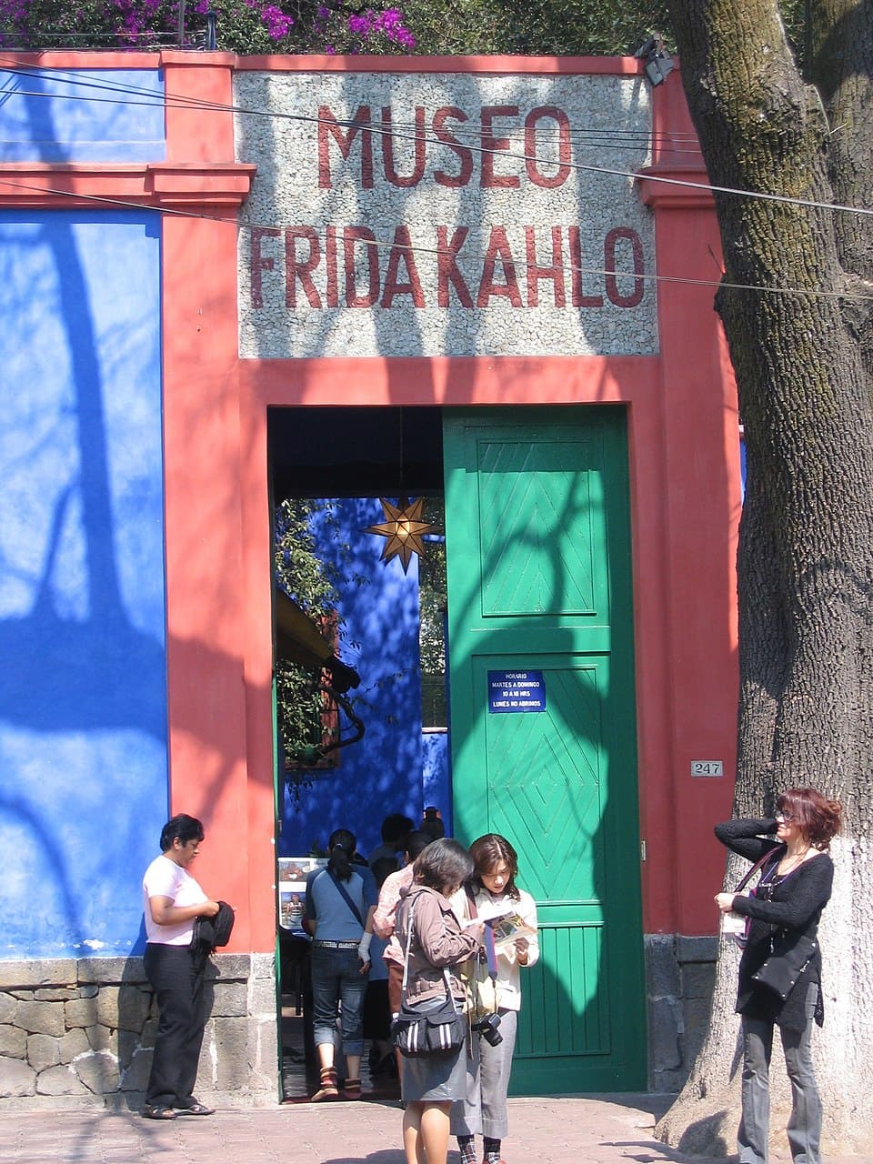 Frida é o grande nome das artes no país. E, em um comunicado para recente, Hilda Trujillo, ex-diretora dos museus Diego Rivera Anahuacalli e Frida Kahlo Casa Azul, denunciou que ao menos dez obras de Frida Khalo foram roubadas e comercializadas de forma fraudulenta. 
