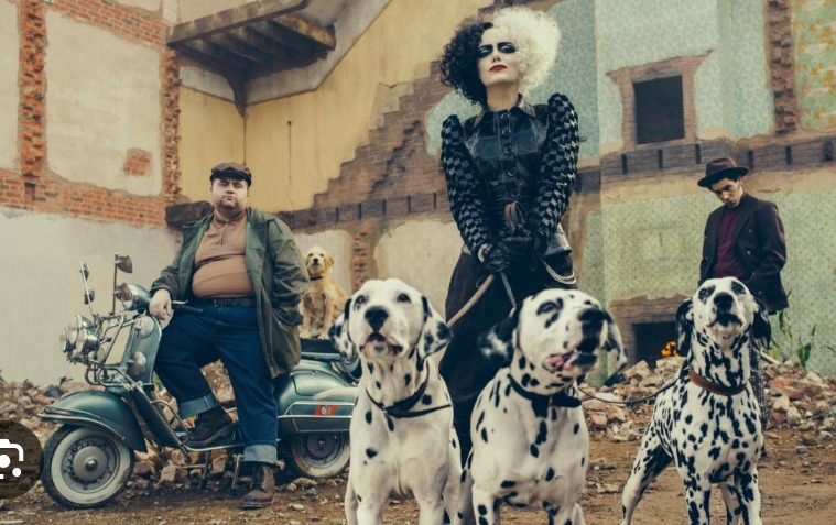 Quem nunca pensou em ter um Dálmata depois de ver o famoso filme dos 101 Dálmatas? Esses floquinhos são muito hiperativos, o que pode ser embaraçoso para quem tem criança.